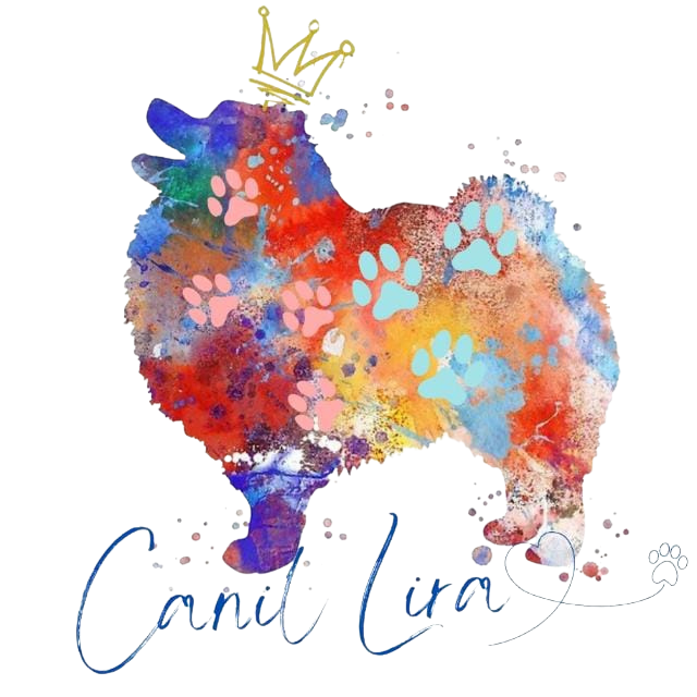 Canil Lira - Ambiente familiar