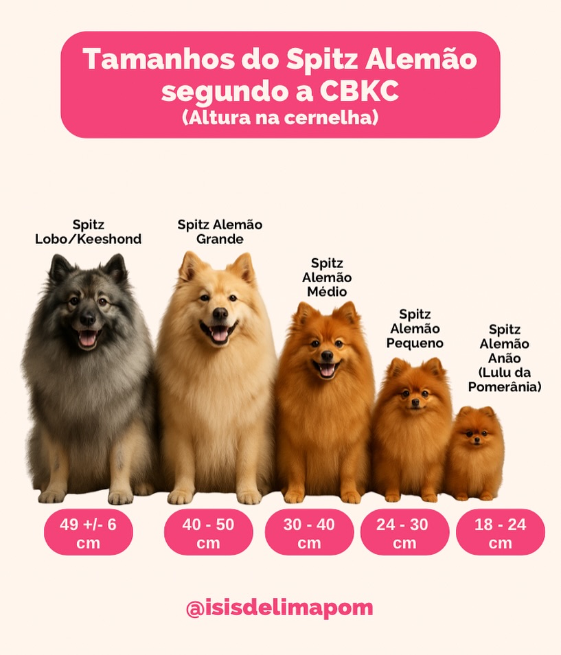 Canil Lira - Tamanhos